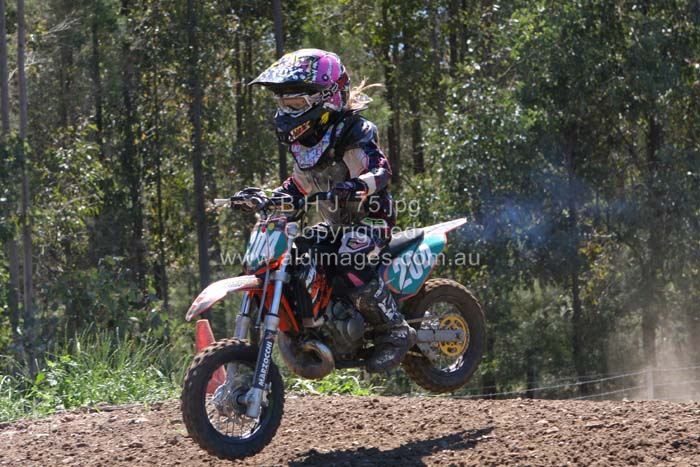 678x444 pixels (89K)